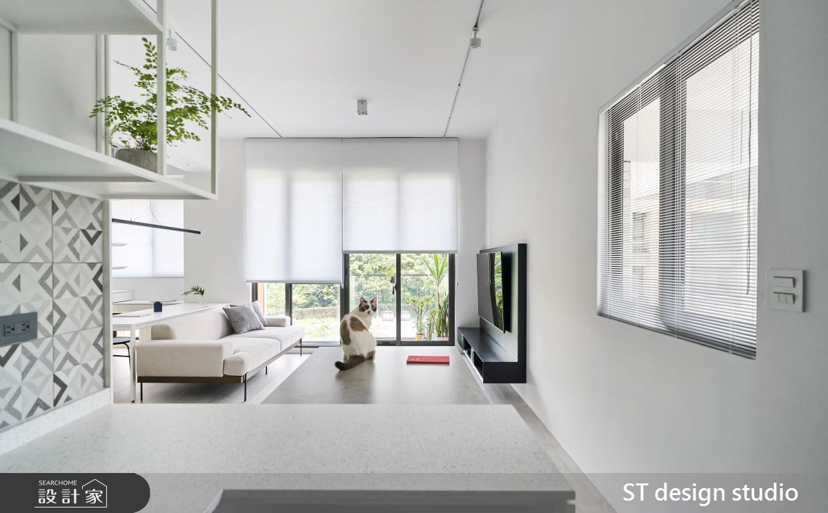 整個家就是大型貓跳台！人與毛小孩共享相互尊重的20坪簡約宅