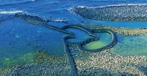 菜販專買低價股　晉身億萬富翁