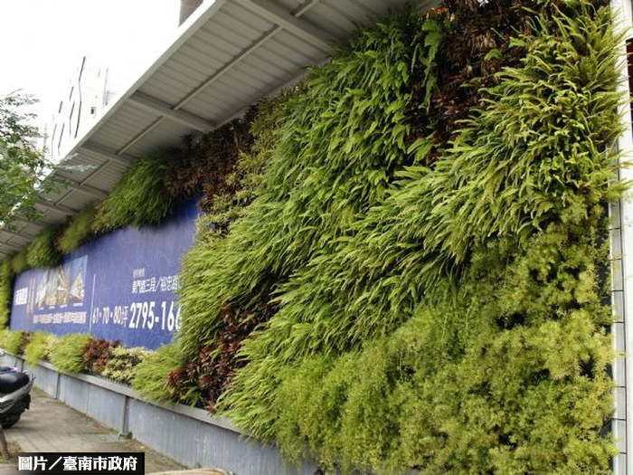 台南市圍籬綠美化競賽 得獎名單出爐