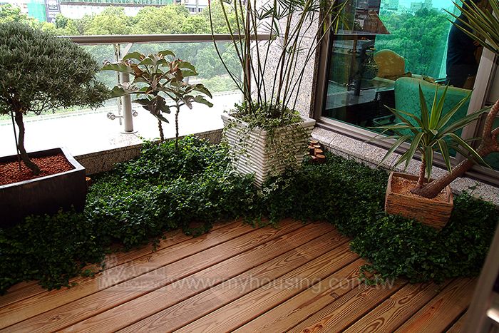 房屋權益報你知 陽臺補登免奔波