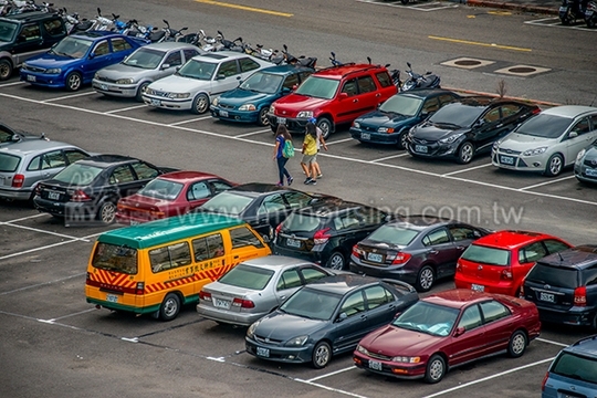 停車格政策轉彎　6米巷將不收費