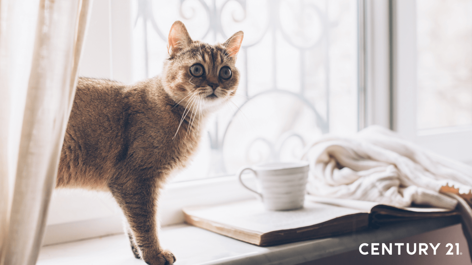 【新聞圖片1】沉浸四季更迭的儀式感提案 7招打造秋冬居家暖意生活（圖片來源_21世紀不動產）