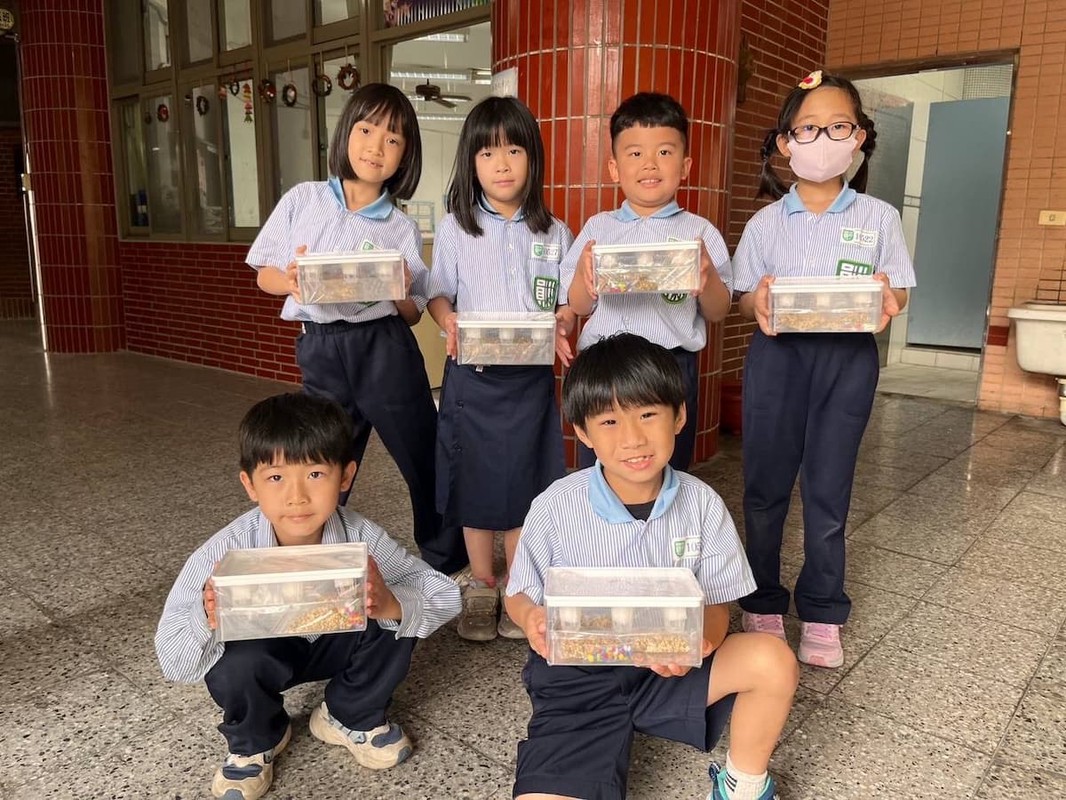 魚菜共生走入校園與社區 打造永續生活新模式