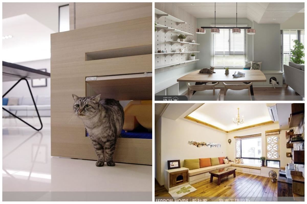 貓奴必看！不怕異味、美觀實用，12款「貓砂盆」結合居家設計大公開！