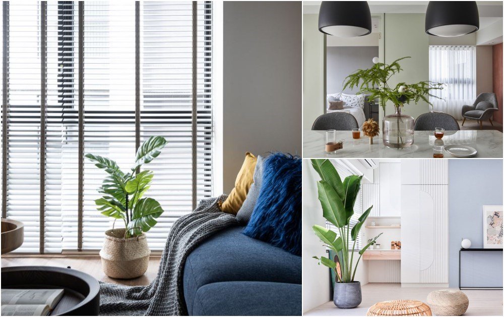 【夏日植型力III】居家植物與她們的花器篇！看設計師用植物與花器打造自...