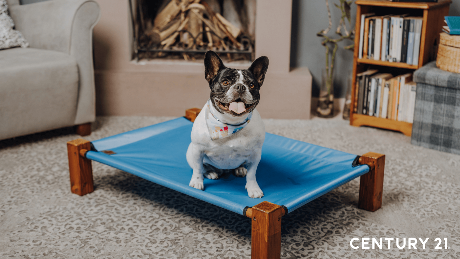 為了不讓狗狗感覺被孤立，可以將睡窩擺放在家人聚集的客廳角落，（圖片來源_21世紀不動產）