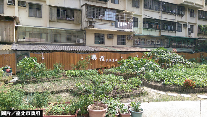 打擊都市熱浪　北市府「田園城市」成果發表