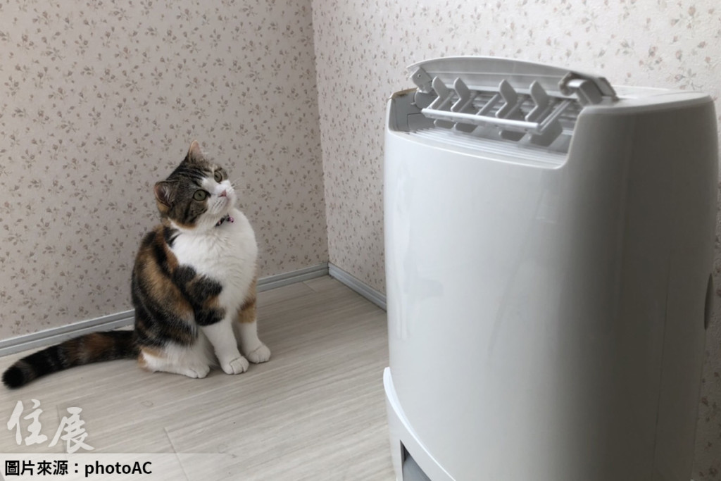 除濕機「沒做這件事」當心燒起來！台電教2招 省電保平安