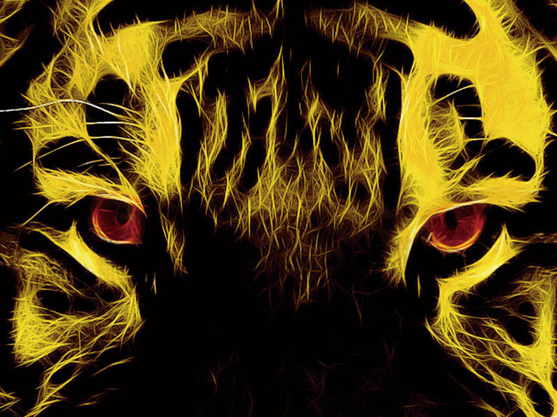 地虎股的飛天傳奇