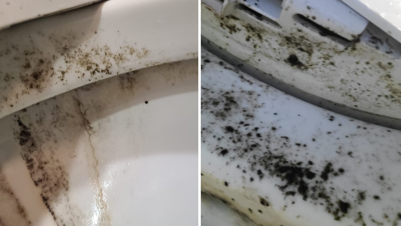 買房送馬桶5個都發霉！他轟建商「保固內不理會」網酸爆