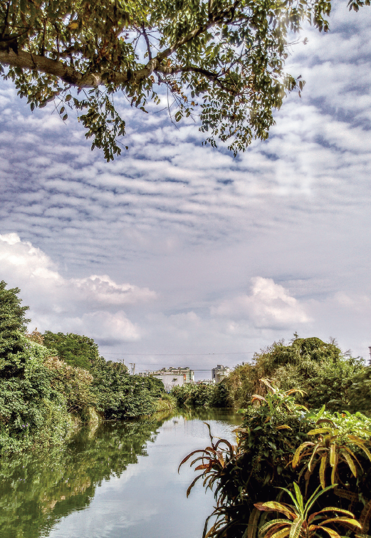 有趣的地名「黃梨宅溪州」 阿沛妹、阿魚妹打嘴鼓