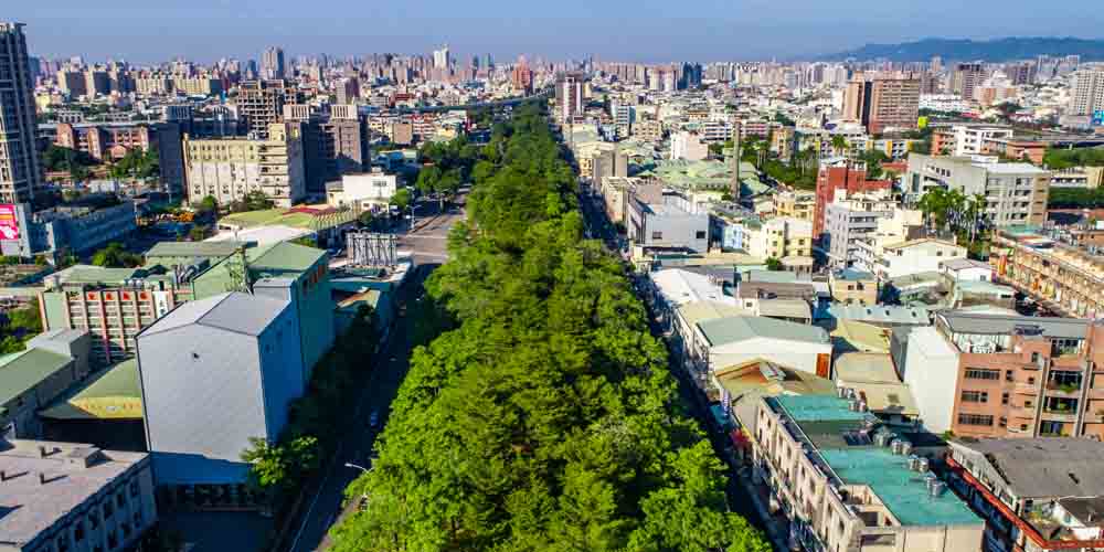 台中東區｜「浩瀚森之道」329檔期甫進場已逼近完銷