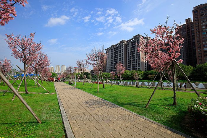 知名建商萬中選一青溪特區千米櫻花水岸旁