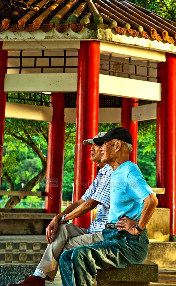 誰在辦「以房養老」？ 逾半在北北基