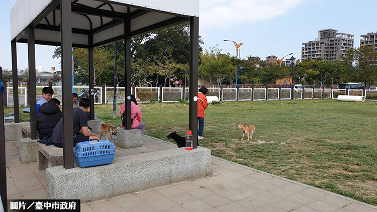 與毛孩輕鬆共遊 台中寵物公園優化