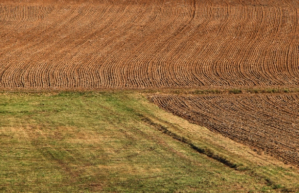 買農地「挖到廢棄物」求償百萬遭拒 內行曝秘辛：寧願賠錢快跑