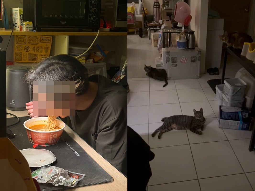 半夜男友突然消失！她開門驚見「三貓守門」 一轉頭：原來躲著偷做這檔事