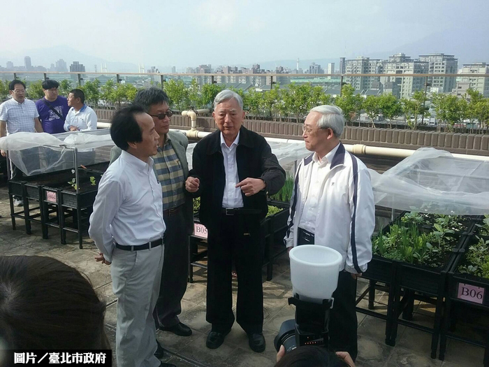 公宅好生活　大龍峒公宅屋頂種菜