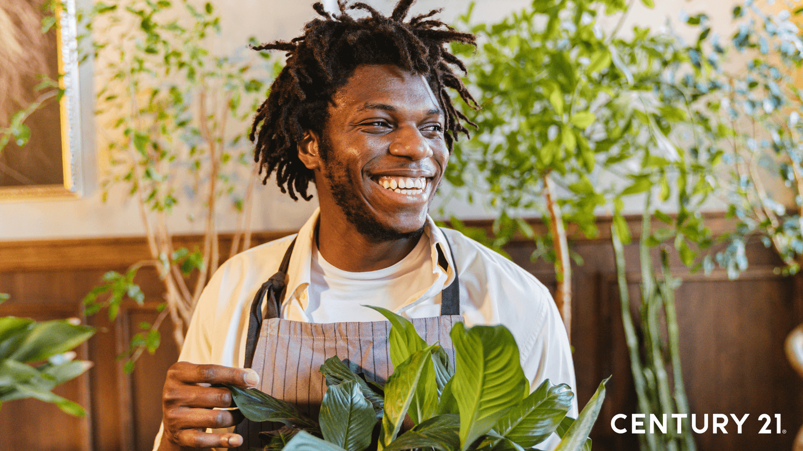 【新聞圖片4】Tips 03:吸附甲醛的好方法(圖片來源_21世紀不動產) 【新聞圖片4】Tips 03:吸附甲醛的好方法(圖片來源_21世紀不動產)