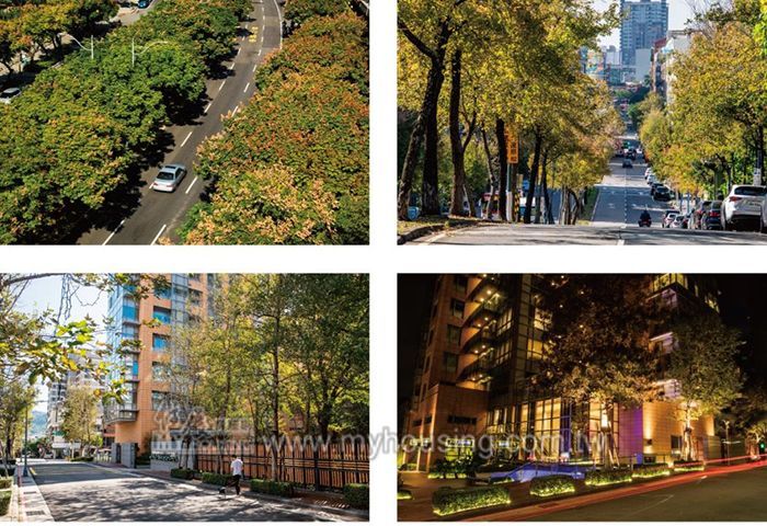 離不開天母 這裡的好只有住過才知道