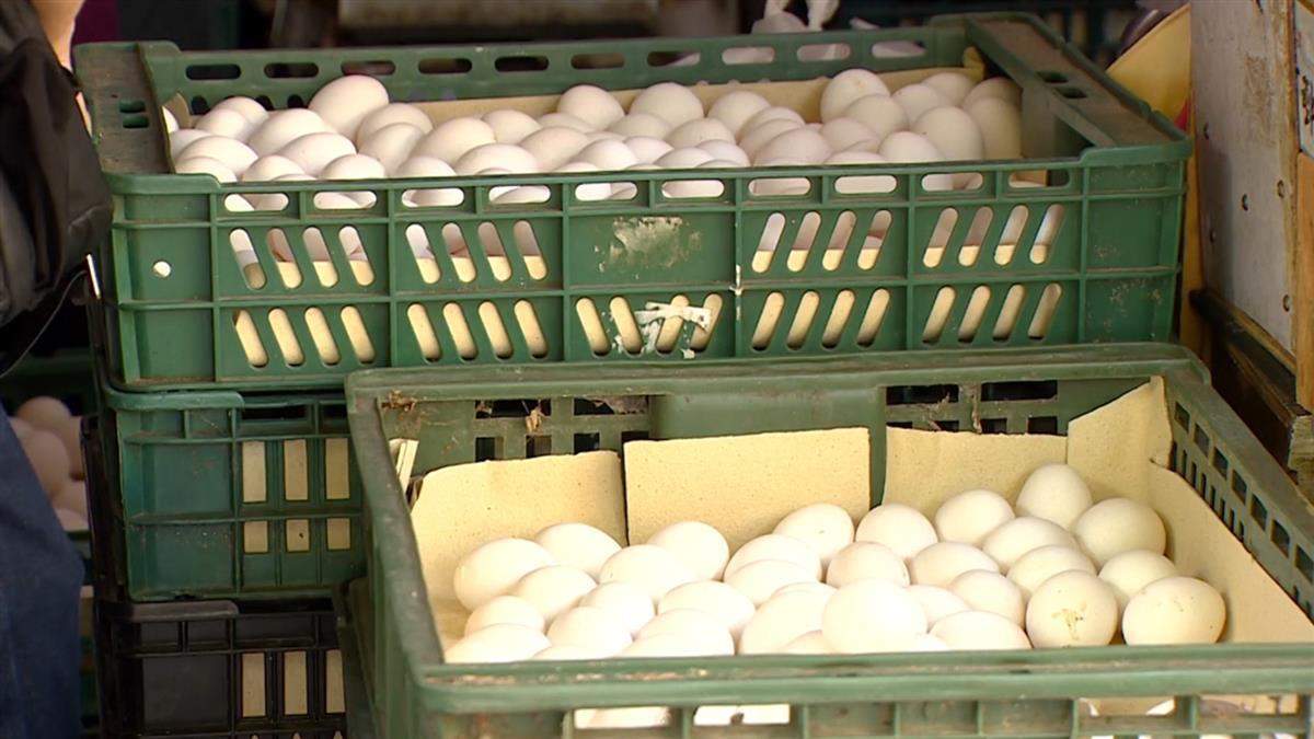 曾認台灣高房價「加稅有用」專家認錯曝超慘結局：全是輸家