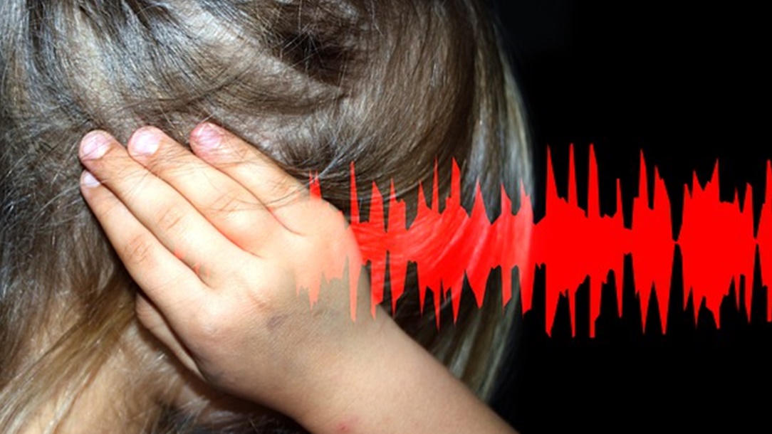 找房漏看3關鍵！她入住秒崩潰 廚餘味飄散臭爆、果蠅滿天飛