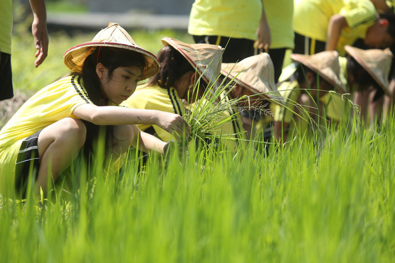 爸媽們，學校已經跟你想的不一樣！