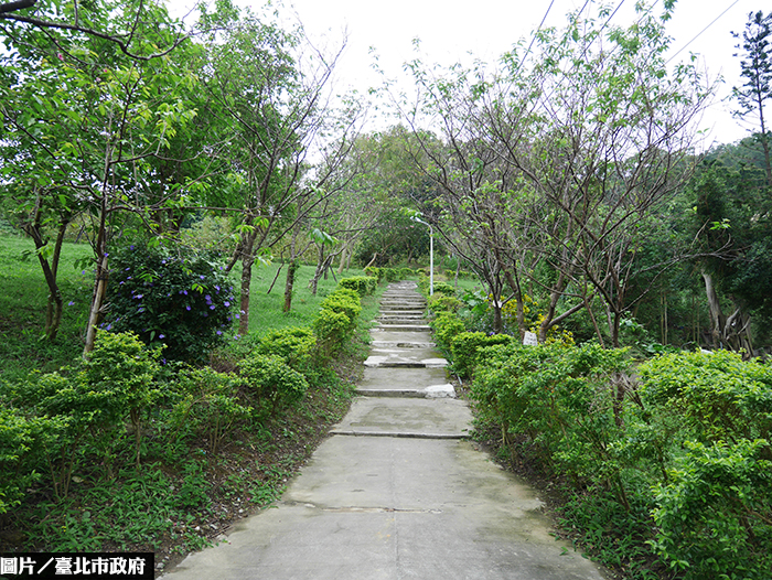 無償使用取代徵收　北市綠地成功改造