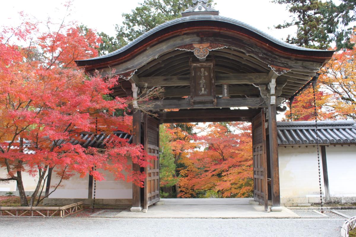 【TV】五感旅行，鄉村風是如此美好