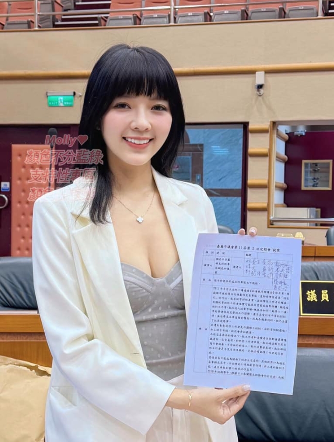 嘉市「設立性專區」提案通過 黃敏惠：將研議可行性