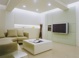 省電燈泡省荷包 白色光源最清爽