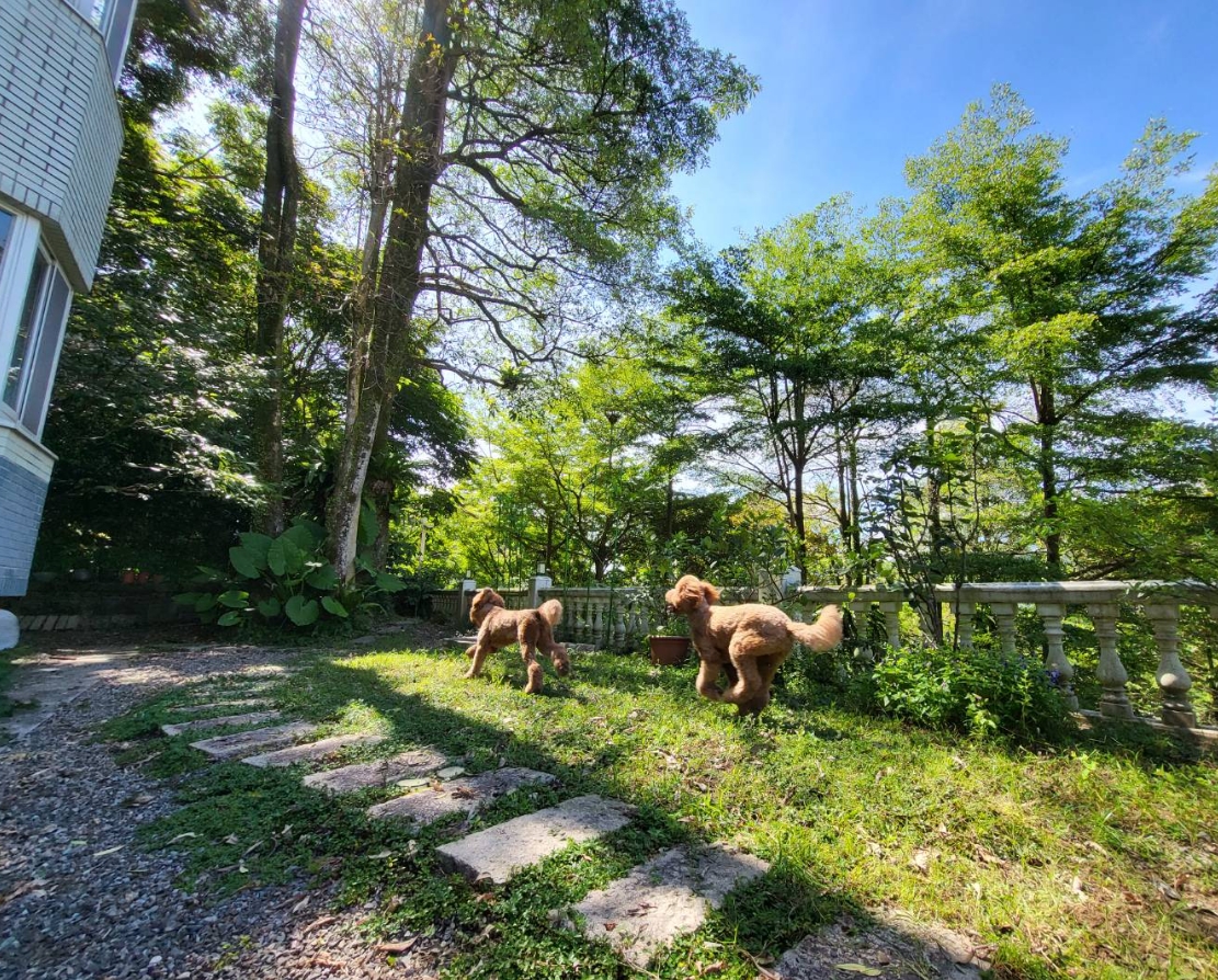 買郊區有「大院子」超夢幻？女主播曝殘酷現實：還是乖乖住大樓