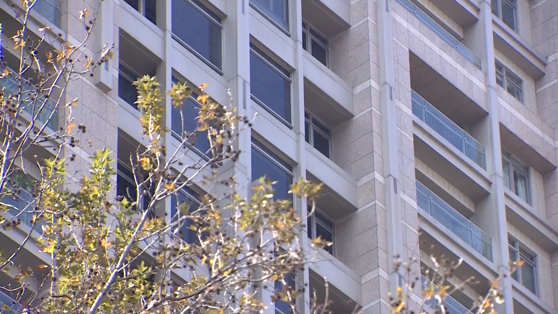 小吃多好賺？「雞排英雄」供應商無貸款 8500萬買豪宅