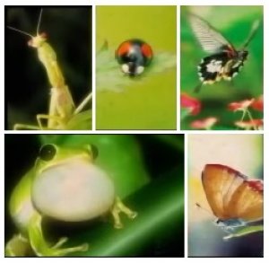 生態未來居住宅競圖 強力提升台灣競爭力