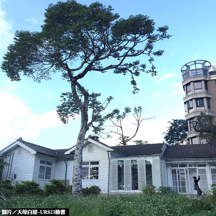 天母白屋獲新生　變身文創基地