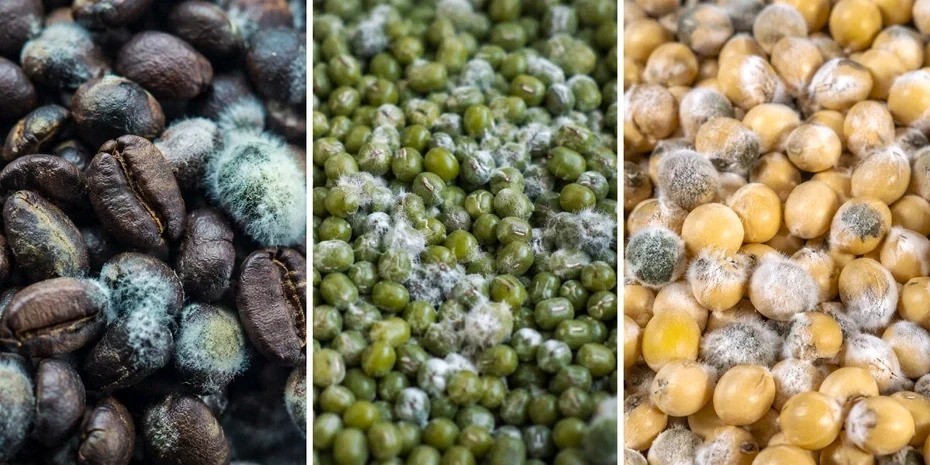 不只花生！醫揭製冰機、洗衣機恐藏隱形毒素