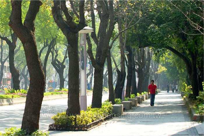 楓香驚喜 秀麗小宅現身百年官道