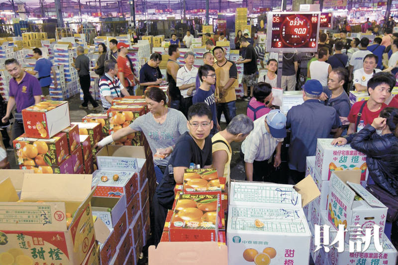 還原北農休市三天荒謬劇始末！