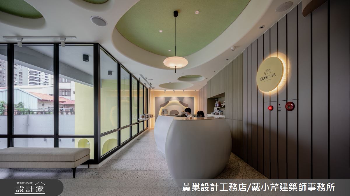 【TV】與毛小孩游泳食宿 自地自建獨棟寵物夢想國度