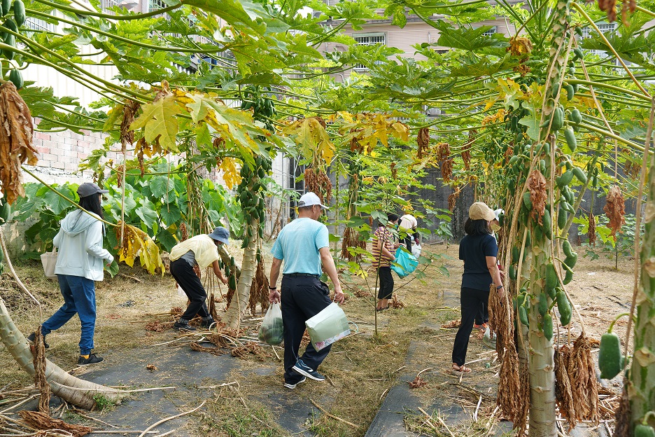 4億買斗六「文旦博士」的地 建商做這件事 村民擠進基地現場