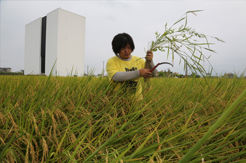 六大亂象難遏止， 台灣快沒耕地可用！