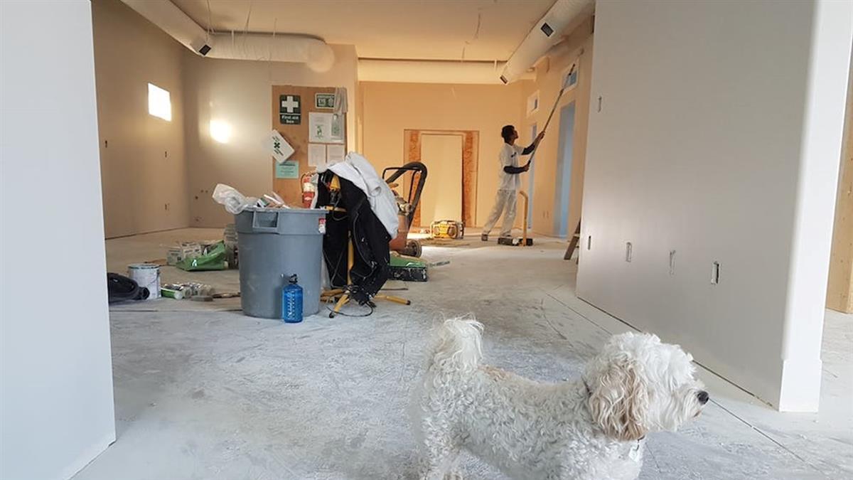 想塞好塞滿「做系統櫃or買現成就好」？ 內行揭關鍵：這類人不適合