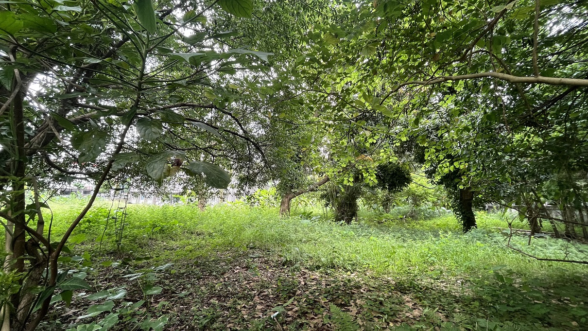 百歲老兵沒坐過馬桶！用這招讓他心軟 精華區破宿舍變身百億雙塔大樓