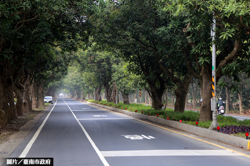 「綠色隧道」完工 改善柳營科工區聯外品質