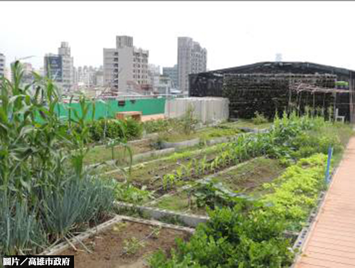 分享綠屋頂技術　高市開辦立體綠化講座　