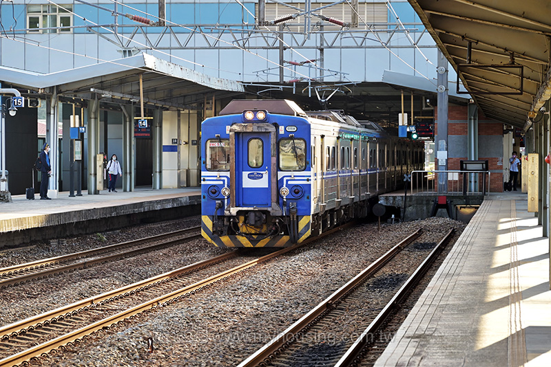 台鐵提前開放通勤月票預購 三大生活圈社福卡7月1日同步上線啟用