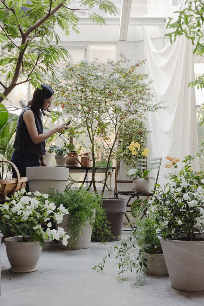 City城市園丁 Gardener