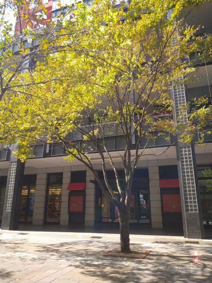 騎樓供公眾通行可以減免地價稅？ 減徵幅度一次看