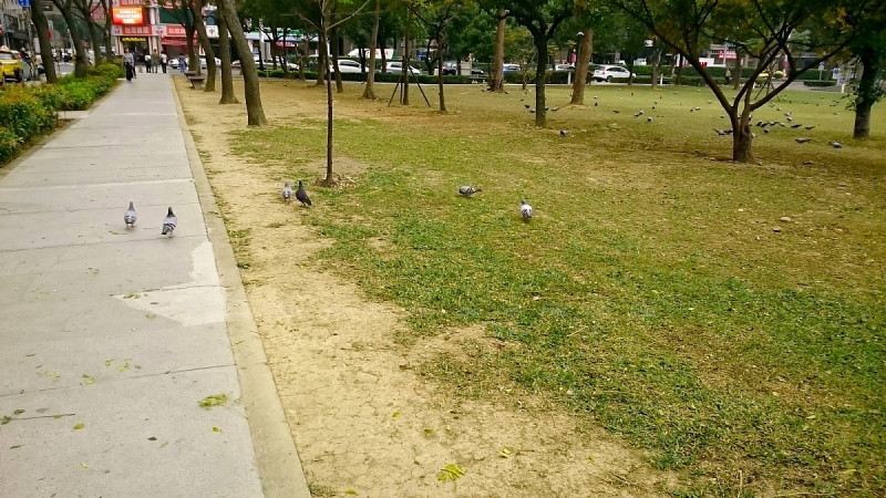 桃園下月標售23筆土地 機捷A10周邊釋出最多