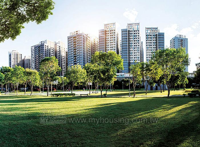 傳說中的綠金 綠洲x金店面的結合